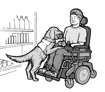 service dog retrieves a can of soda for a young man using a wheelchair